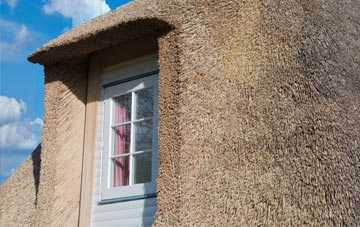 Pantside thatch roof disadvantages